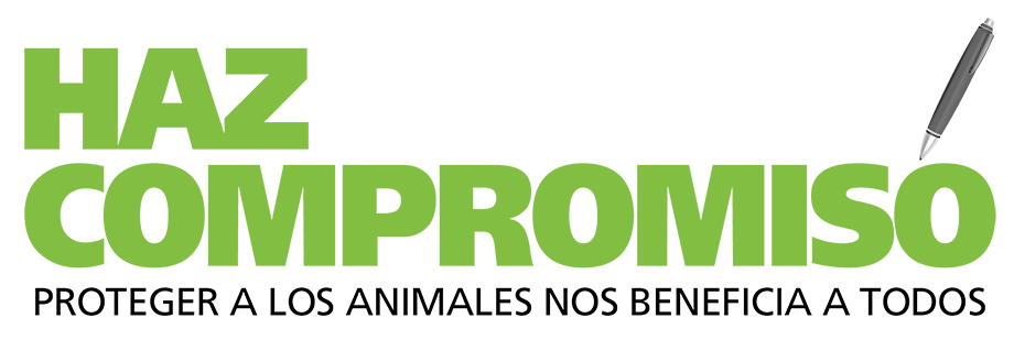 ANIMAL HEROES